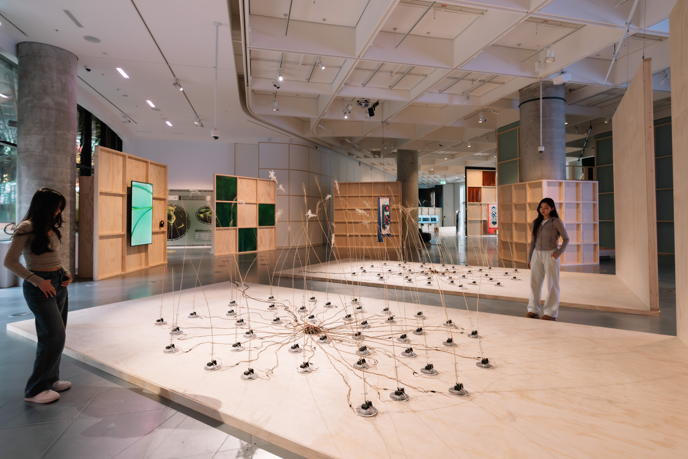 Two people walk around an installation of wires and long grass 