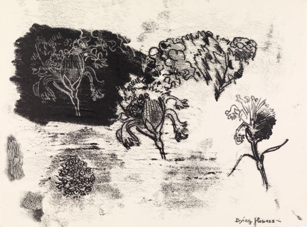 Ludwig Hirschfeld-Mack - 'Dying flowers', (not dated), pencil on paper.