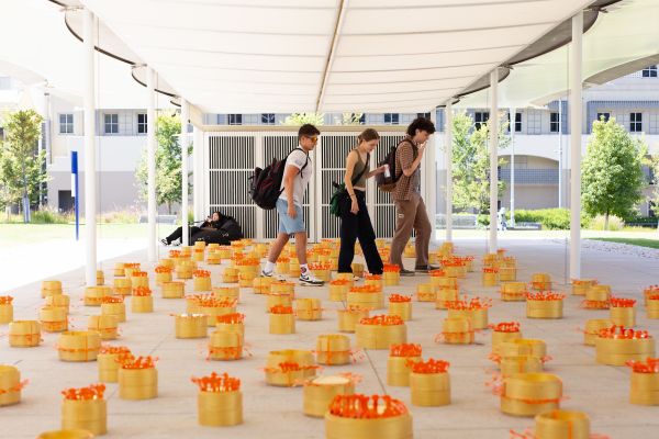 A group of people walk through a yellow floor of man made flowers